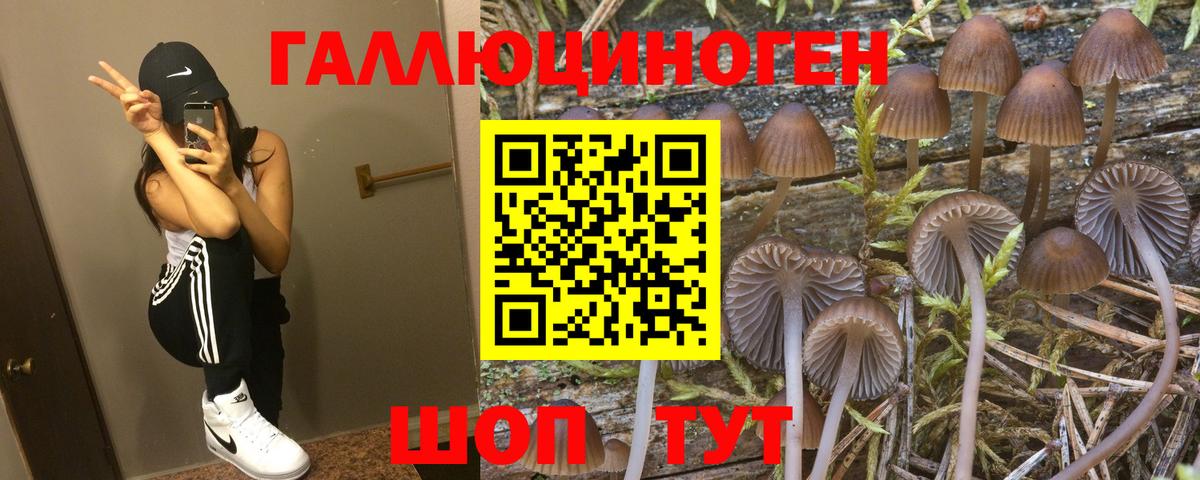 Галлюциногенные грибы мицелий  Вход с VPN  Шахты  Галлюциногенные грибы ЛСД 